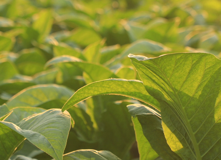 国家局党组成员走访慰问离退休老党员老干部