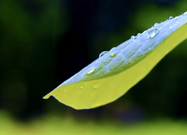 国家局党组召开党组（扩大）会议 传达学习贯彻习近平总书记近期重要讲话和重要指示精神