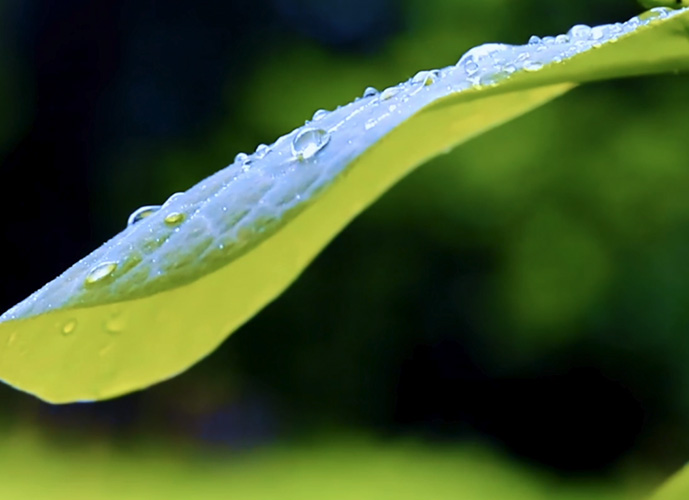 国家局总公司经济运行分析会强调 把思想和行动统一到党中央决策部署上来 稳定行业对国家财政和宏观经济的贡献